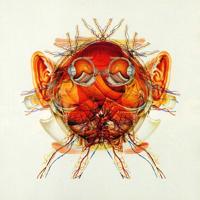 Schematic - CD (5016958057527)