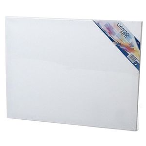 Canvas schildersdoek 50 x 40 cm voor hobby verven/schilderen   -