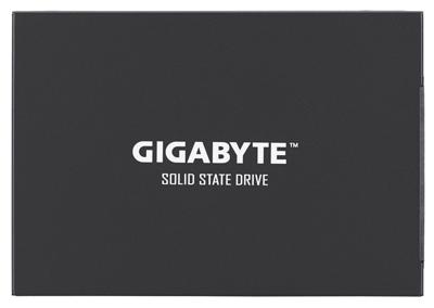 GIGABYTE   GP-GSTFS30256GTTD - Solid state drive - 256 GB - intern -