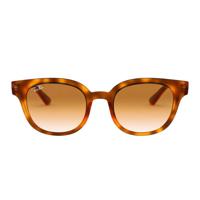 Ray-Ban zonnebril RB432450 bruin