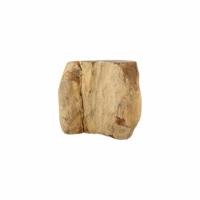 Fossiel Hout Java Half Gepolijst (Model 2)