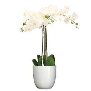 Orchidee kunstplant wit - 75 cm - inclusief bloempot wit glans