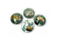 Trendform Magnet Eye - Royal Garden - set van 4 verschillende