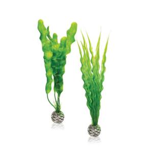 Biorb N-Plantenset M groen