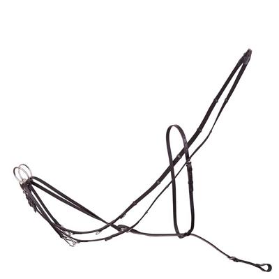 Premiere Thiedemann Teugel Premiere Thiedemann Teugel