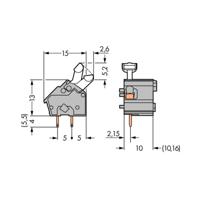 WAGO 256-601 Veerkrachtklemblok 2.50 mm² Aantal polen 1 Grijs 300 stuk(s) - thumbnail