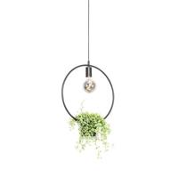 QAZQA Moderne hanglamp zwart met glas rond - Roslini - thumbnail