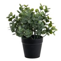 Louis Maes Eucalyptus Kunstplant - in pot - groen - H20 cm   -