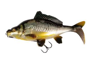 Fox Rage Replicant Carp 18cm Super Natural Mirror Carp