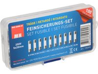 Max Hauri 135395 Buiszekering assortiment (Ø x l) 5 mm x 20 mm Traag -T- Inhoud 100 stuk(s) - thumbnail