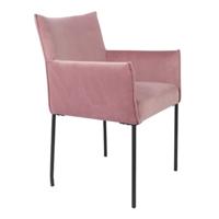 Set van 2 - Armstoel Dion