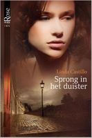 Sprong in het duister - Linda Castillo - ebook - thumbnail