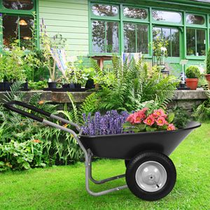 Kruiwagen met 2 Banden Zware Kar met Stalen Frame en 35,5 cm Luchtbanden 100 kg Laadvermogen Zwart