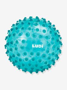 Activiteitenbal - LUDI blauw