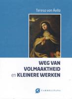 Weg van volmaaktheid en kleinere werken - Teresa van Avila - Hardcover (9789076671918)