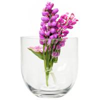 Bloemenvaas Karel - helder transparant glas - D19 x H19 cm - decoratieve vaas - bloemen/takken - thumbnail