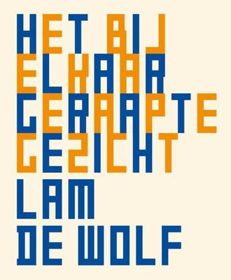 Het bij elkaar geraapte gezicht - Lam de Wolf - Paperback (9789491738487)
