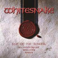 Slip Of The Tongue - CD (0190295409807)
