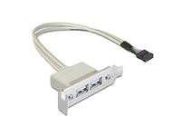 DELOCK Slotplaat - USB 2.0 2xPort Low Profile