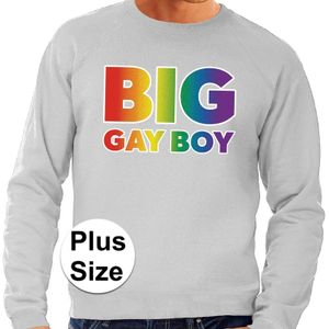 Gaypride Big Gay Boy regenboog sweater grijs heren 4XL  -