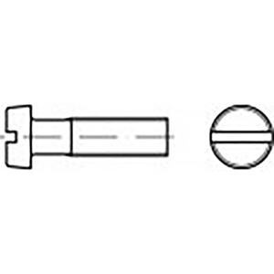 TOOLCRAFT TO-6852423 Cilinderkopschroef M2 30 mm Sleuf DIN 84 Staal Verzinkt 200 stuk(s)