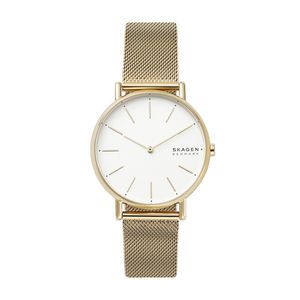 Horlogeband Skagen SKW2795 Roestvrij staal (RVS) Doublé 18mm