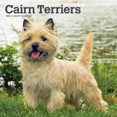 Cairn Terrier Kalender 2021