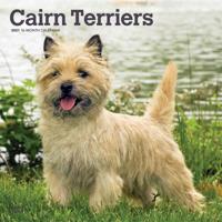 Cairn Terrier Kalender 2021
