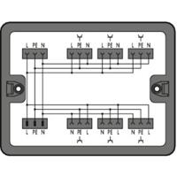 WAGO 899-631/104-000 Verdeeldoos 899 25 A Zwart 1 stuk(s)