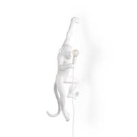 Seletti Monkey Outdoor Lampresin Hanging