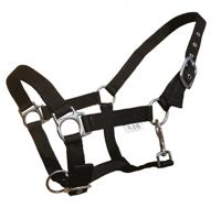 S2G halster Standard Haflinger verstelbaar nylon zwart