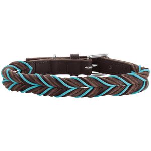 Hunter Solid Education Bruin, Turkoois Leer S Hond Standaard halsband