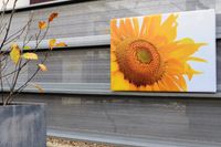 Tuinposter op 4cm frame 60x160 cm Tuinposter op 4cm frame 60x160 cm