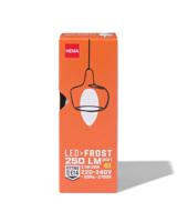 HEMA Led Kaars Glass Frost E14 2.5W 250lm - thumbnail