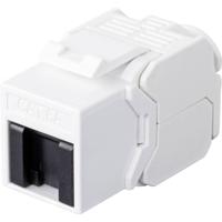 Renkforce RJ45-inbouwmodule Keystone CAT 6A