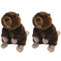 2x stuks pluche bever knuffel 30 cm