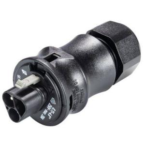 Wieland Electric 96.032.0153.1 Ronde connector Stekker, recht Totaal aantal polen: 3 1 stuk(s)