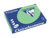 Clairefontaine Trophée Pastel, gekleurd papier, A4, 120 g, 250 vel, natuurgroen - thumbnail