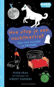 Hoe stop je een nachtmerrie? - Mark Traa - ebook