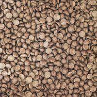 Callebaut Chocolade Druppels Puur 80% 2,5 kg