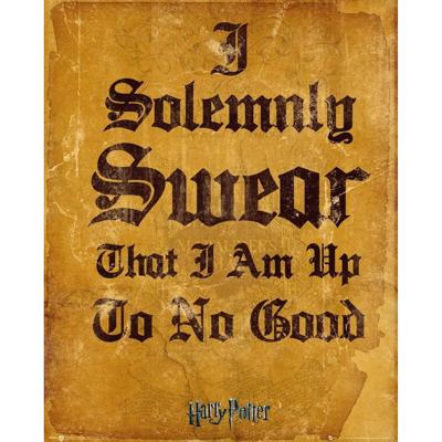 GBeye Harry Potter I Solemnly Swear Poster 40x50cm