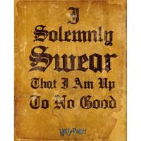 GBeye Harry Potter I Solemnly Swear Poster 40x50cm