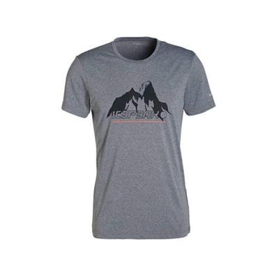 Icepeak T-shirt grijs