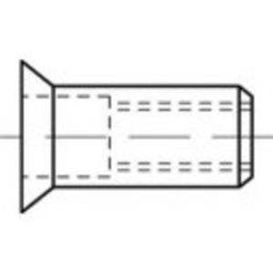 TOOLCRAFT TO-5444274 Popmoer M10 Staal 100 stuk(s)