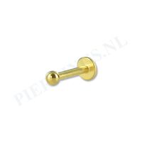 Labret 1.6 mm x 10 mm goudkleur