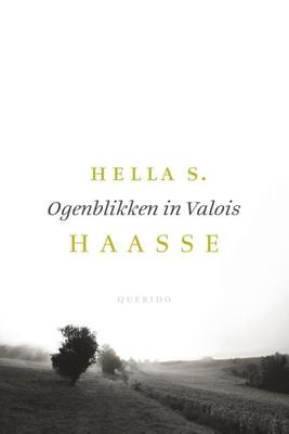 Ogenblikken in Valois - Hella S. Haasse - eBook (9789021408460)