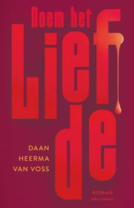 Noem het liefde - Daan Heerma van Voss - ebook