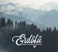 WE Fashion longsleeve met contrastbies blauw