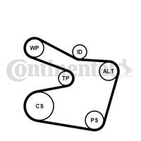 Poly V-riem set CONTINENTAL CTAM, u.a. für BMW