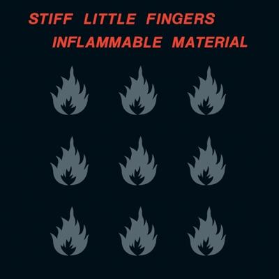 Inflammable Material - LP (0190295448271)